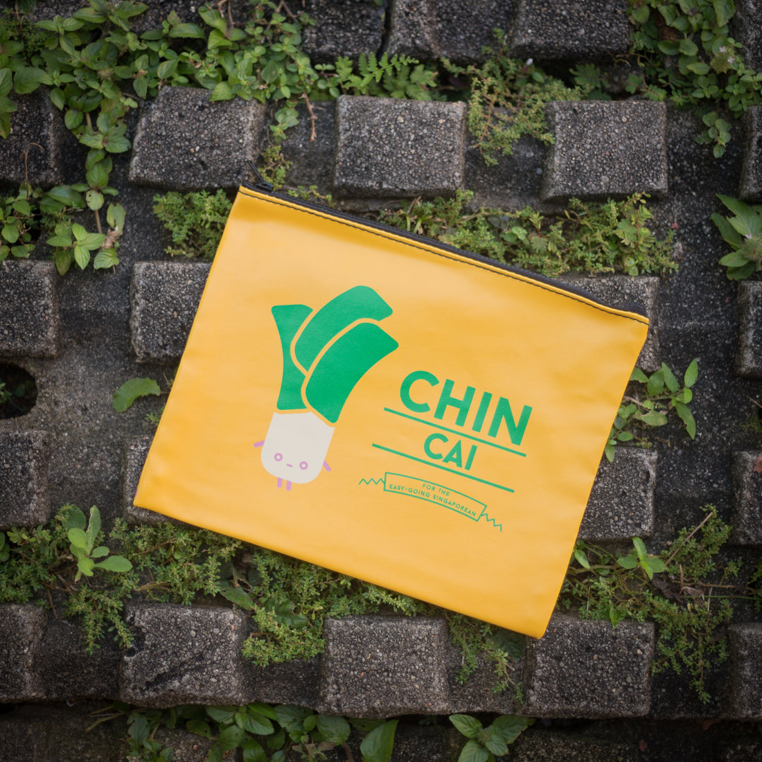 Chin Cai Pouch