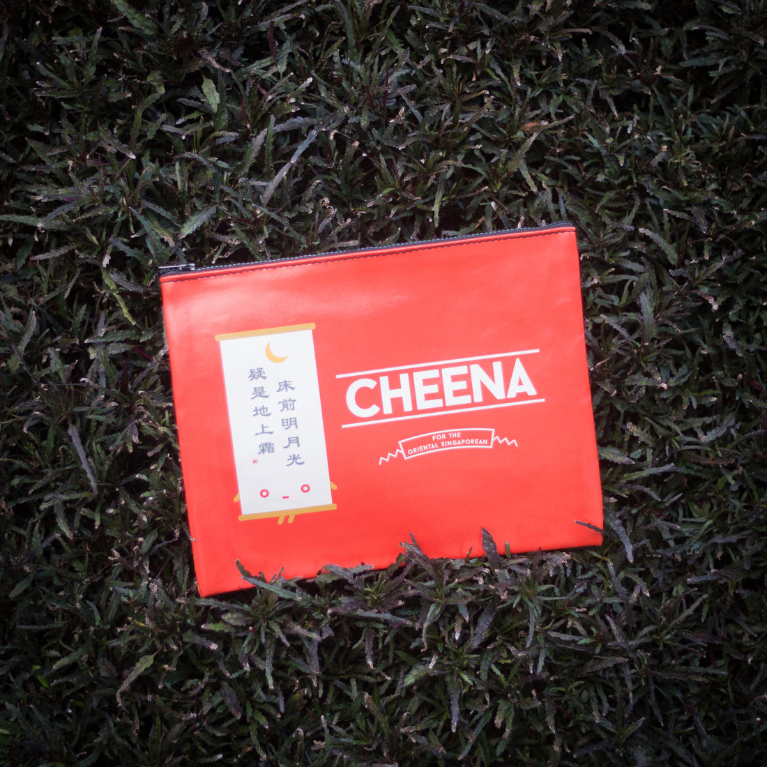 Cheena Pouch
