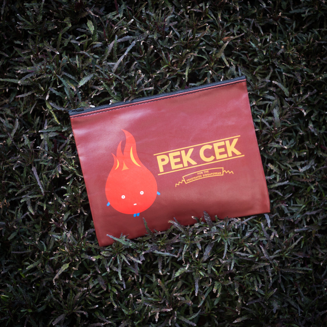 Pek Cek Pouch