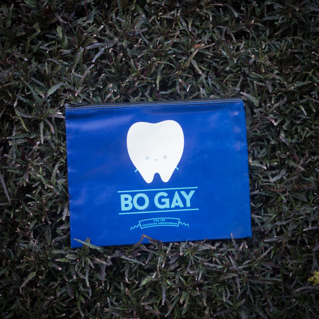 Bo Gay Pouch