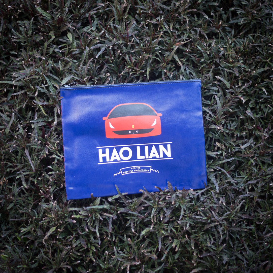 Hao Lian Pouch